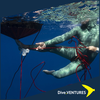 Octopus Freediving – Dive.VENTURES